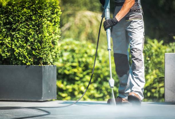 Best Driveway Pressure Washing  in Dousman, WI